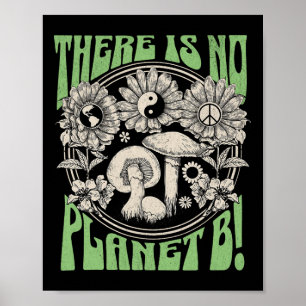 Affiche Il N'Y A Pas De Planète B Jour des terres 5