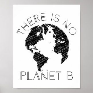 Affiche Il N'Y A Pas De Planète B Monde Contre Le Réchauff
