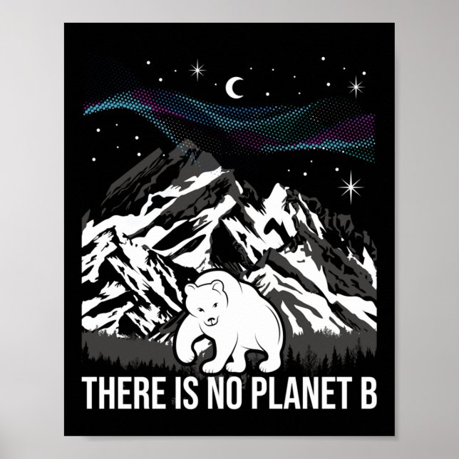 Affiche Il N'Y A Pas De Planète B - Protection De l'enviro (Devant)
