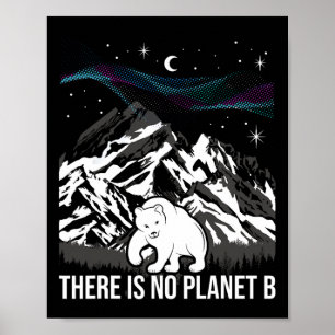 Affiche Il N'Y A Pas De Planète B - Protection De l'enviro