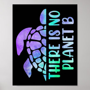 Affiche Il N'Y A Pas De Planète B Protection De l'environn