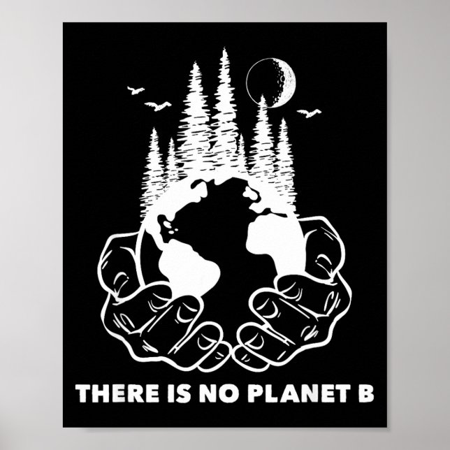 Affiche Il n'y a pas de planète B Sauvegarder l'environnem (Devant)