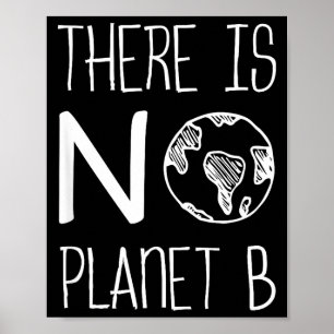 Affiche Il n'y a pas de planète B, Sensibilisation à l'env