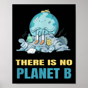 Affiche Il N'Y A Pas De Planète B Terre Nature De l'enviro