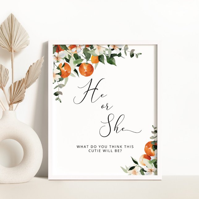 Affiche Il ou elle petit genre mignon révèle (Créateur téléchargé)