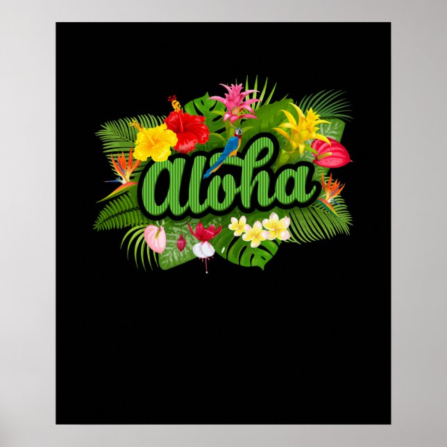 Affiche Île Aloha Hawaï (Devant)