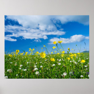 Affiche île de South Uist Écosse