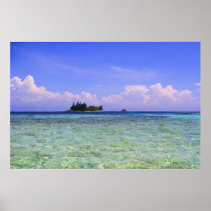 Affiche Île Lonely