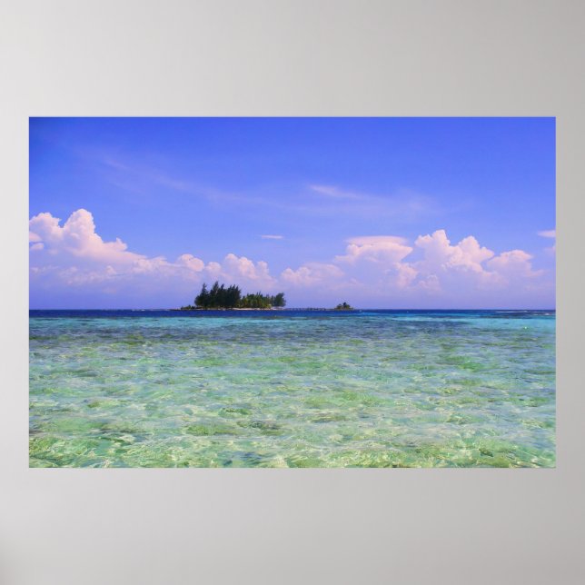 Affiche Île Lonely (Devant)