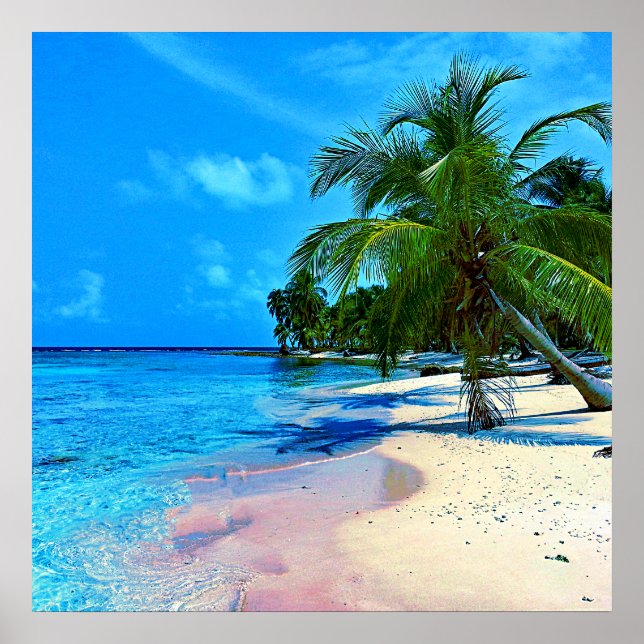 Affiche Île Tropicale Avec Palmiers Et Plage De Sable (Devant)