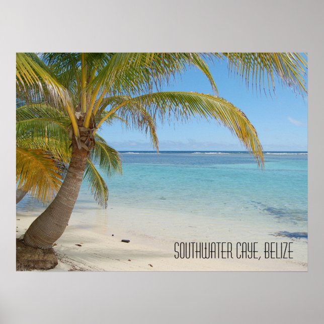 Affiche Île tropicale des Caraïbes Belize Plage et palmier (Devant)