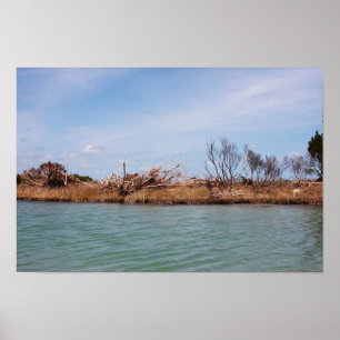 Affiche Île Végétation 1