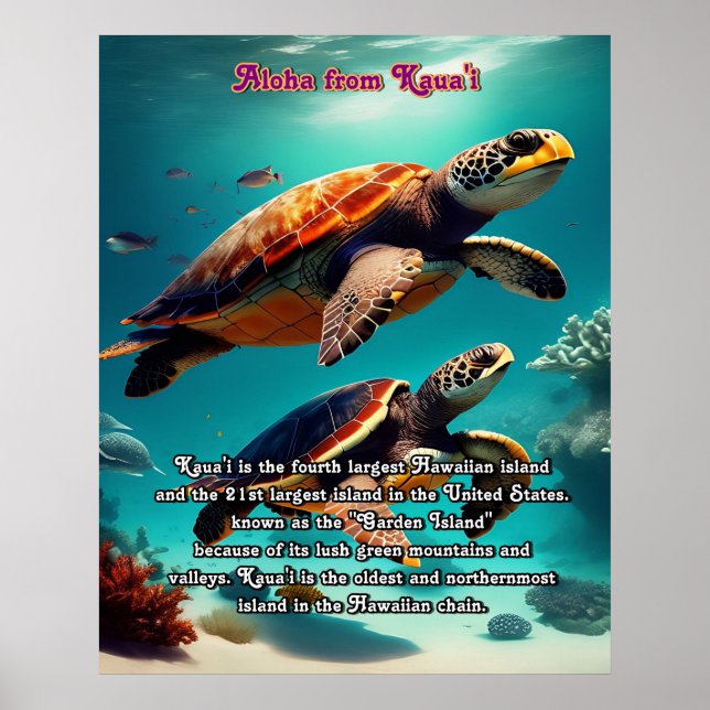 Affiche Iles hawaïennes Kauai Aloha (Devant)