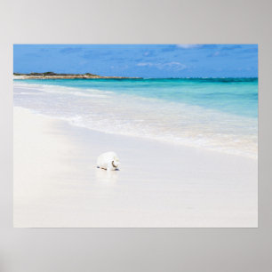 Affiche Îles Turques et Caïques