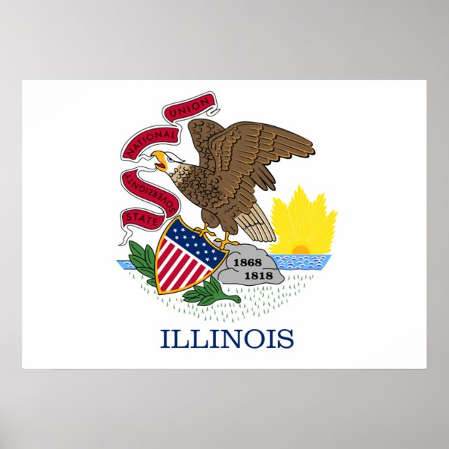 Affiche Illinois flag (Devant)