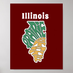 Affiche Illinois Pseudo Word Art