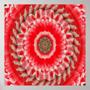 Affiche Illusion de tulipe......