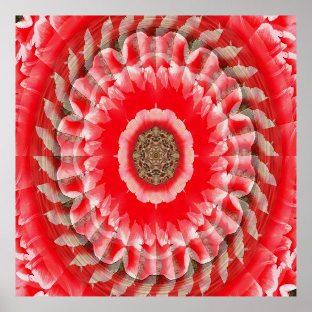 Affiche Illusion de tulipe...... (Devant)