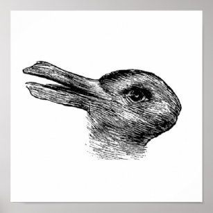 Affiche illusion du canard de lapin
