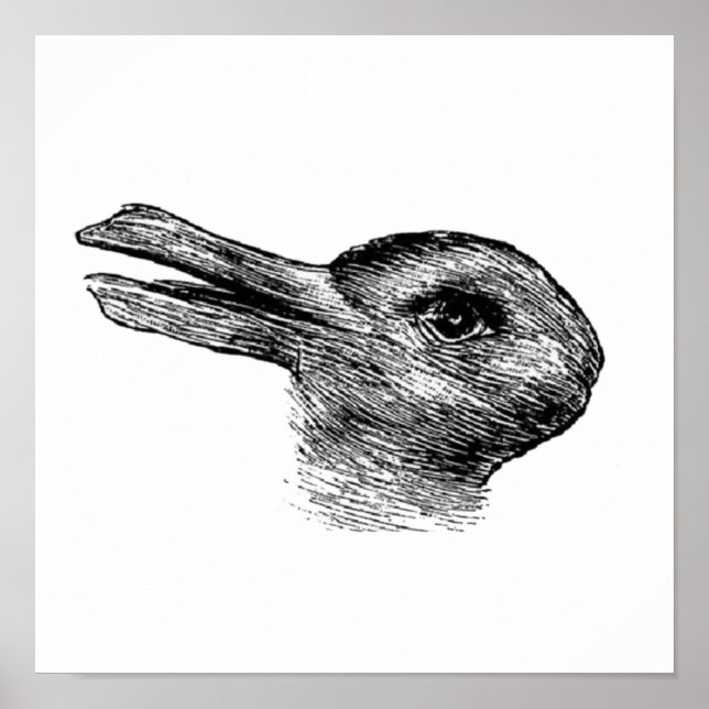 Affiche illusion du canard de lapin (Devant)