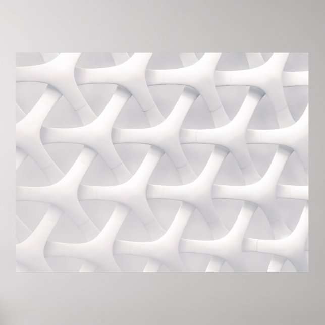 Affiche Illusion optique blanche et grise (Devant)