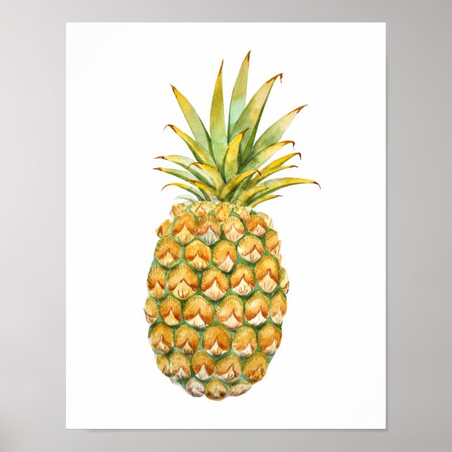 Affiche illustrant l'ananas (Devant)