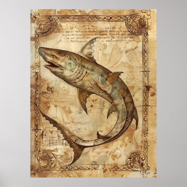 Affiche illustrant le requin vintage (Devant)