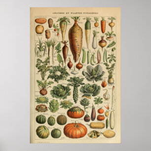 Affiche illustrant les légumes Adolphe Millot