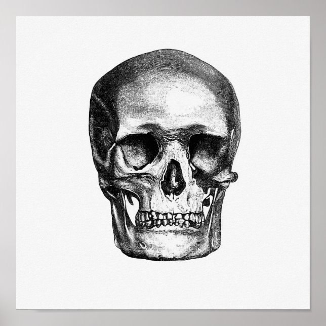 Affiche Illustration anatomique vintage (Devant)