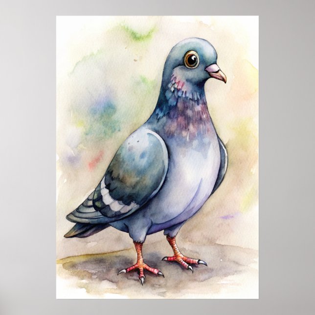 Affiche Illustration aquarelle de pigeon fantaisiste,  Ill (Devant)