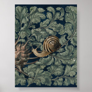 Affiche Illustration Art Nouveau botanique escargot antiqu