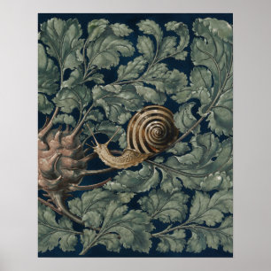 Affiche Illustration Art Nouveau botanique escargot antiqu