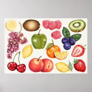 Affiche Illustration botanique