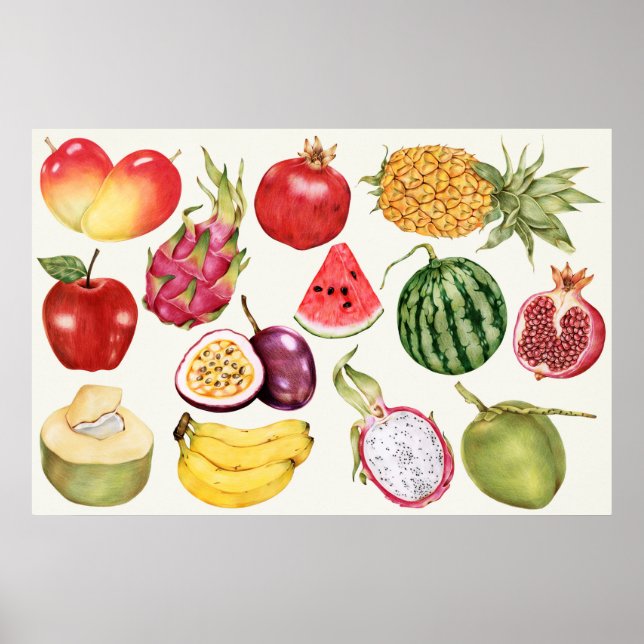 Affiche Illustration botanique (Devant)