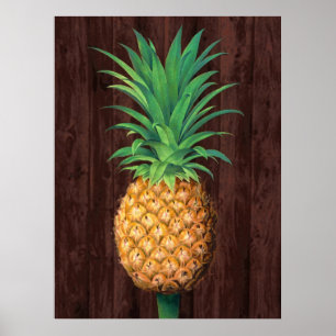 Affiche Illustration botanique d'ananas contre l'acajou