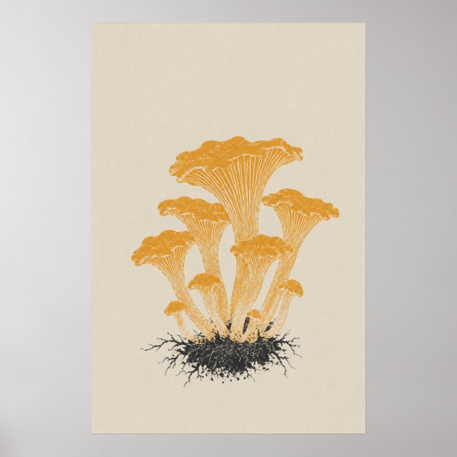 Affiche Illustration botanique de champignon chanterelle j (Devant)