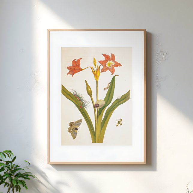 Affiche Illustration botanique de plante de fleurs vintage (Créateur téléchargé)