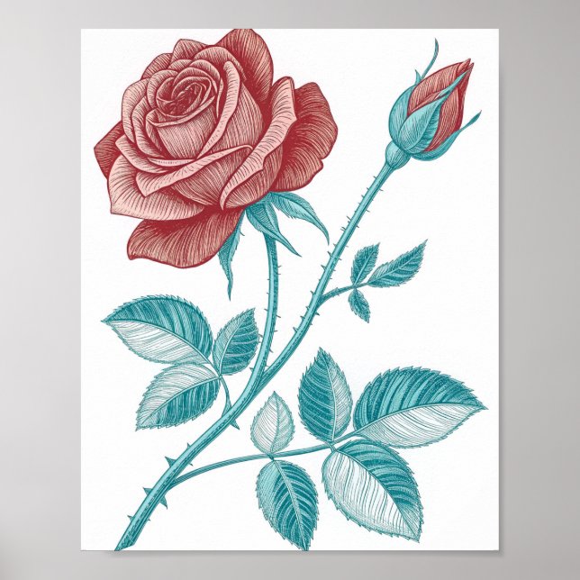 Affiche Illustration botanique de style gravure vintage d' (Devant)