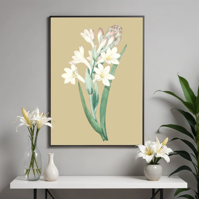 Affiche Illustration botanique de Tuberose, Fleur Vintage (Créateur téléchargé)