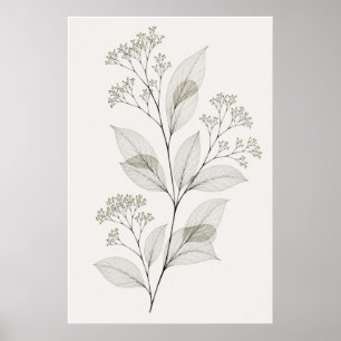 Affiche Illustration botanique de veine de salle de séjour