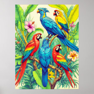Affiche Illustration botanique d'oiseaux tropicaux