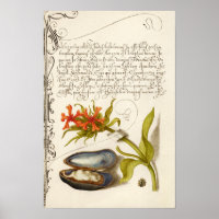 Illustration botanique du texte de calligraphie an