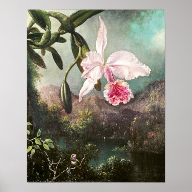 Affiche Illustration botanique vintage (Devant)