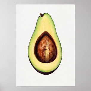 Affiche Illustration botanique vintage