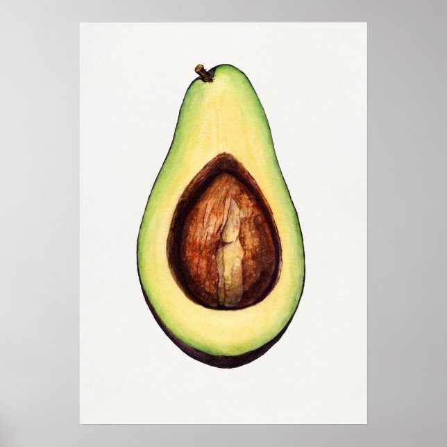 Affiche Illustration botanique vintage (Devant)