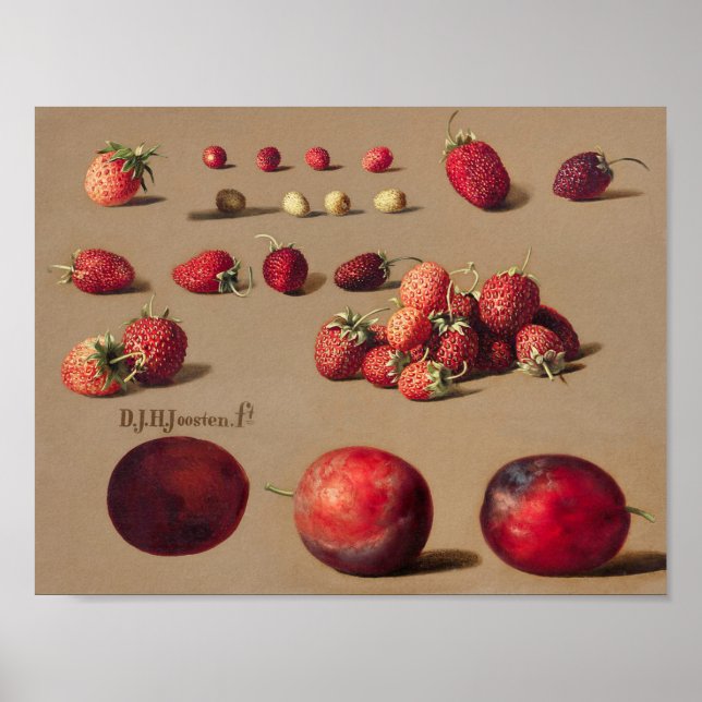 Affiche Illustration botanique vintage (Devant)