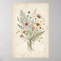 Illustration botanique vintage de fleurs sauvages