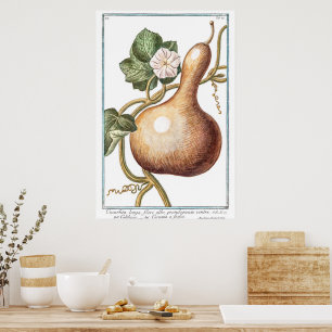 Affiche Illustration Citrouille vintage par Giorgio Bonell