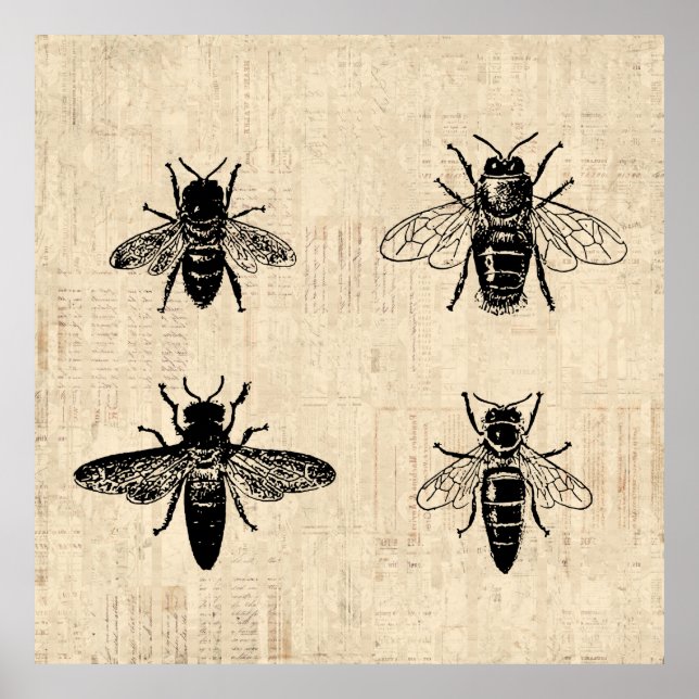 Affiche Illustration d'abeilles Antique Bee Art Design Vin (Devant)
