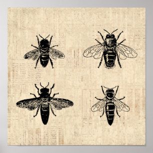 Affiche Illustration d'abeilles Antique Bee Art Design Vin